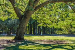 Parks for Outdoor Events