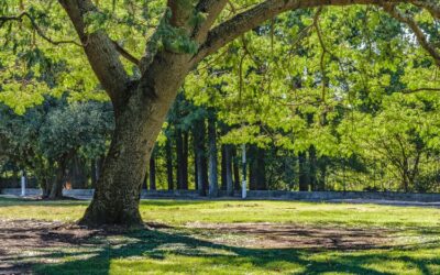 Parks in Kuna ID Perfect for Outdoor Events